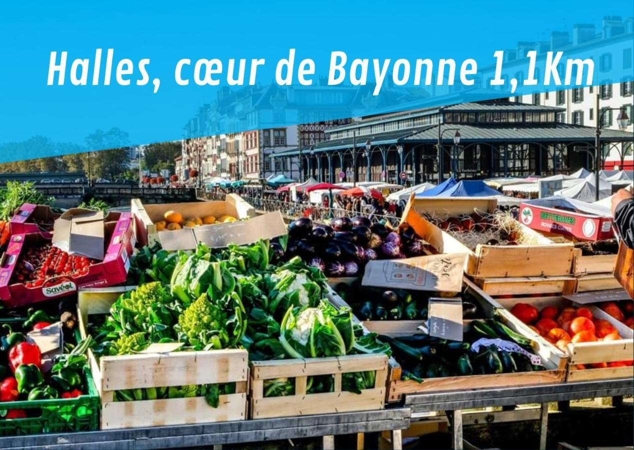 Eroso Saint Esprit Proche Gare Wifi Bureaux Apartment Bayonne Luaran gambar
